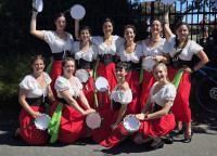 IMG 20260215 WA0024 (click to enlarge)